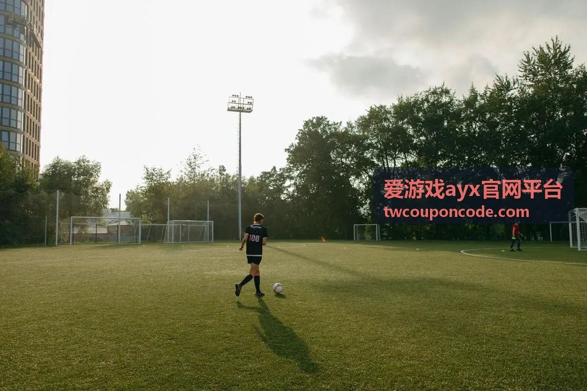 爱游戏ayx官网平台每日登录券的领取说明图